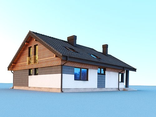 Projekt domu Nel IIN 2G+ - widok z boku i z tyłu