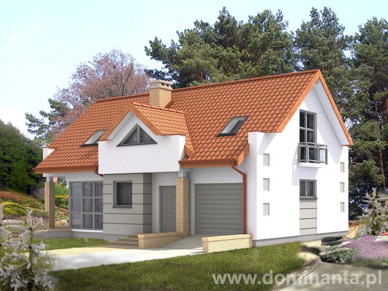 Projekt domu Driada - wizualizacja odbicie lustrzane 2