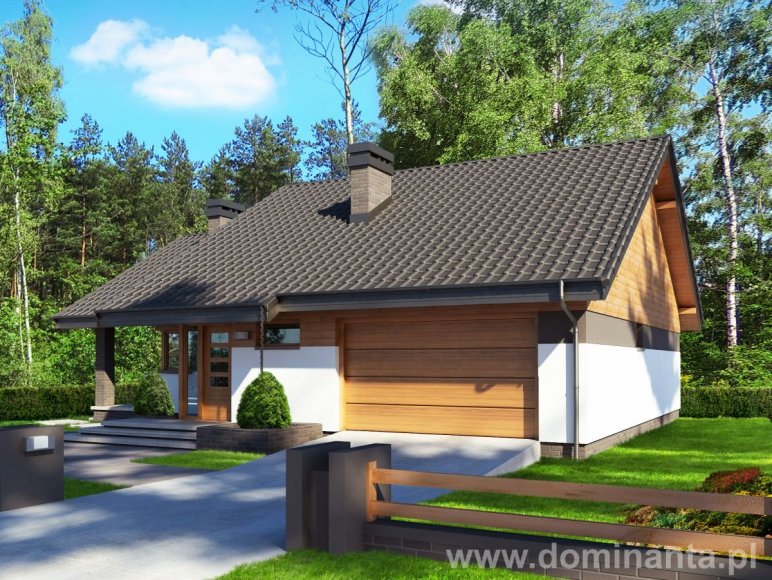 Projekt domu Maja 2G+ - wizualizacja 2